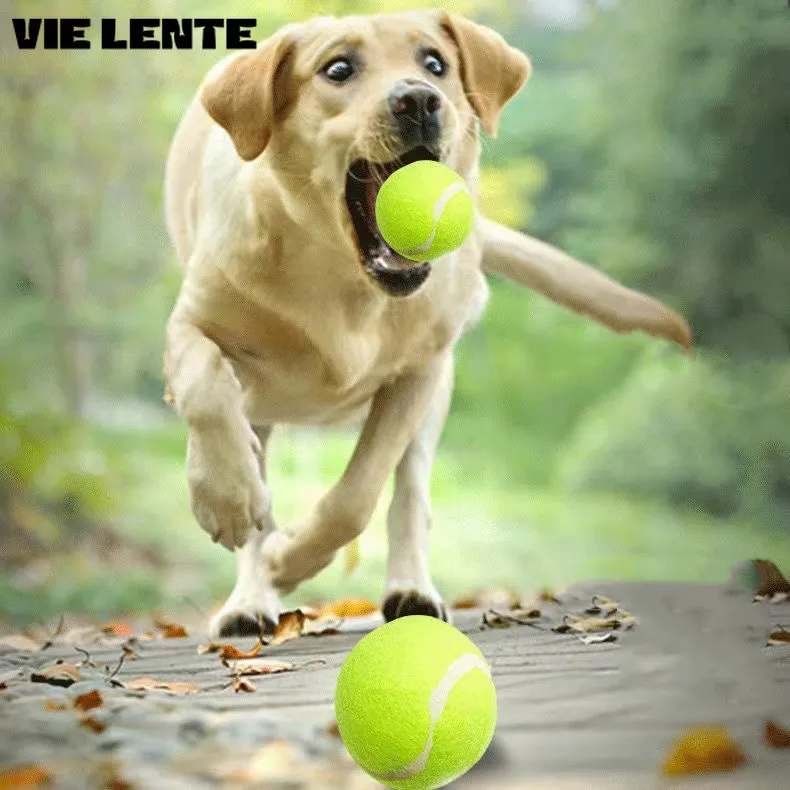 Мини-надувной Теннисный Мяч Для Собак Интерактивная Игрушка Подходящая Щенков И