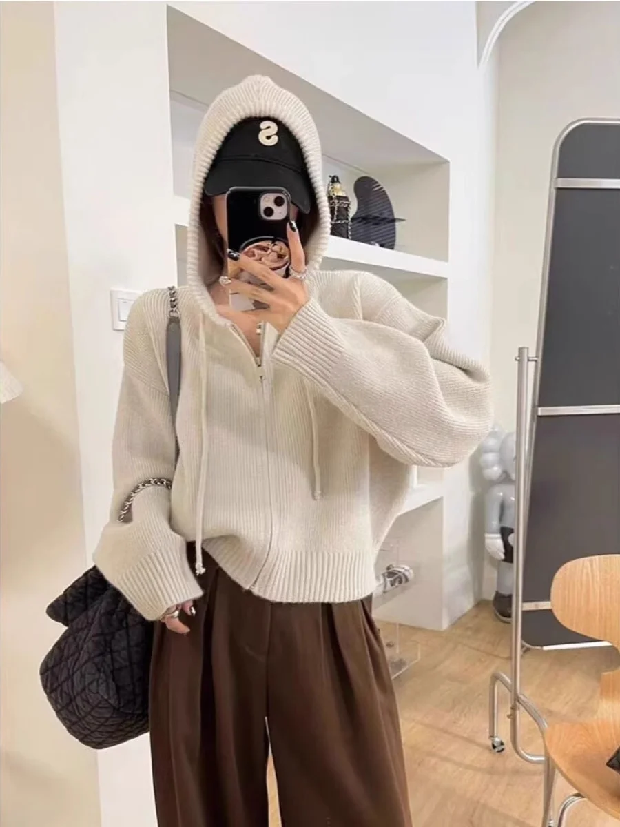 Осень и зима новый бархатный свитер с капюшоном на молнии верхняя одежда женский