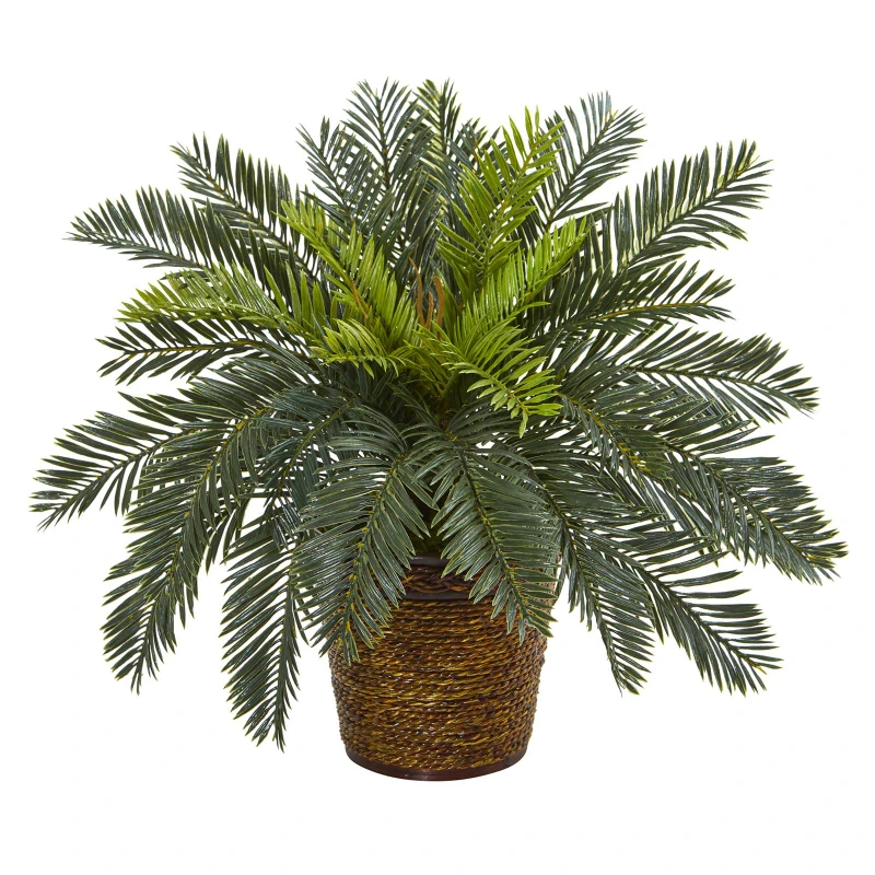 Free shipping 15 in. Cycas Artificial Plant in Basket
