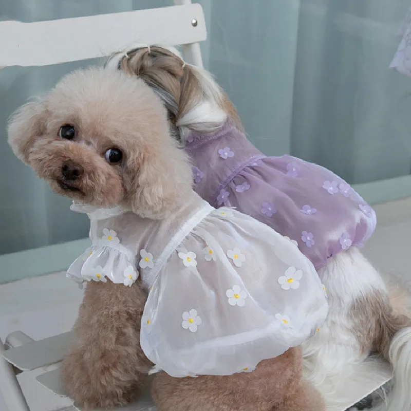 

Small Dog Dress Cat Chihuahua Doggy Puppy Skirt Yorkies Pomeranian Clothing Shih Tzu Maltese Bichon Poodle Schnauzer Pet Clothes