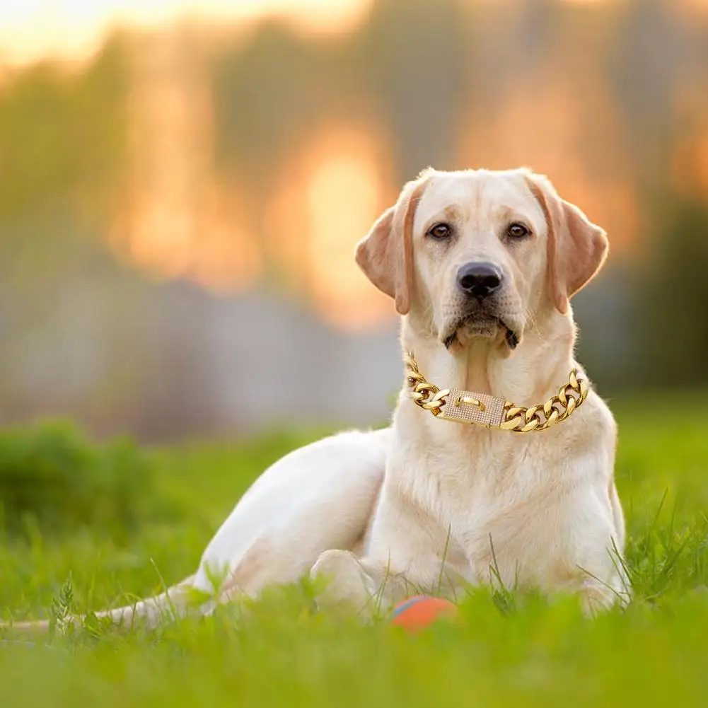 Ошейник для собак среднего и большого размера из титановой стали толщиной 19 мм