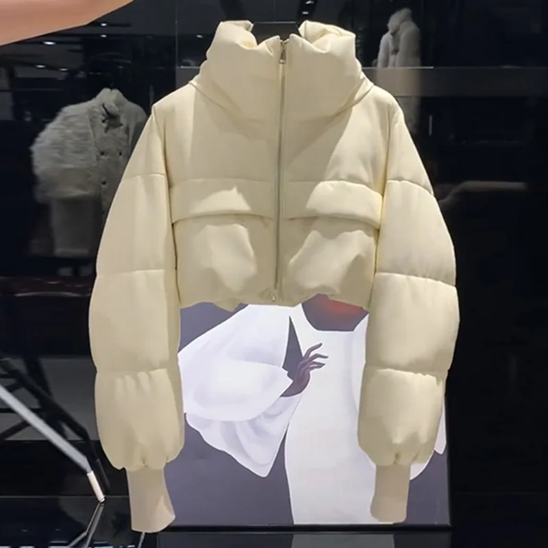 Зимние женские парки новинка 2024 пальто с воротником-стойкой и длинными рукавами