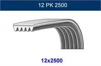 

GPK12PK2500 для канала KAYIS ACTROS 1843 / TRAFEVO O580 OM541