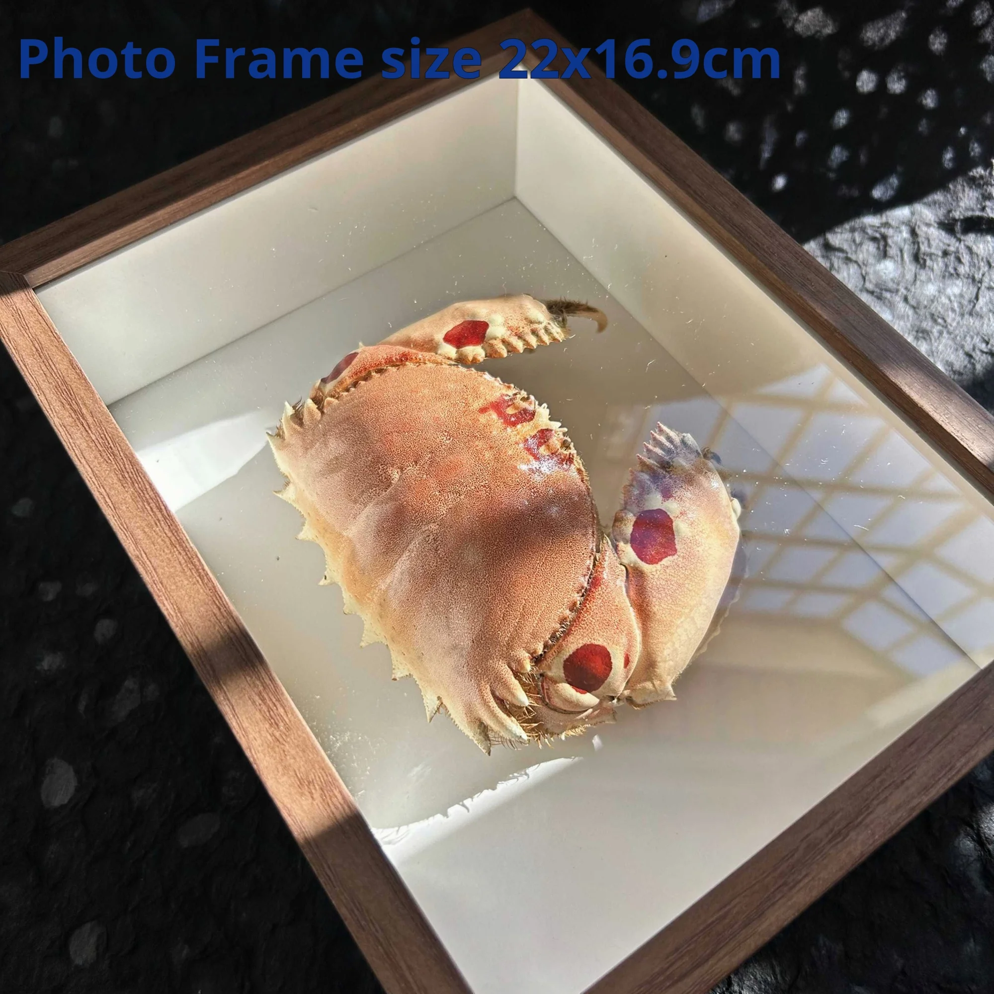 

Статуэтка краба из натурального материала