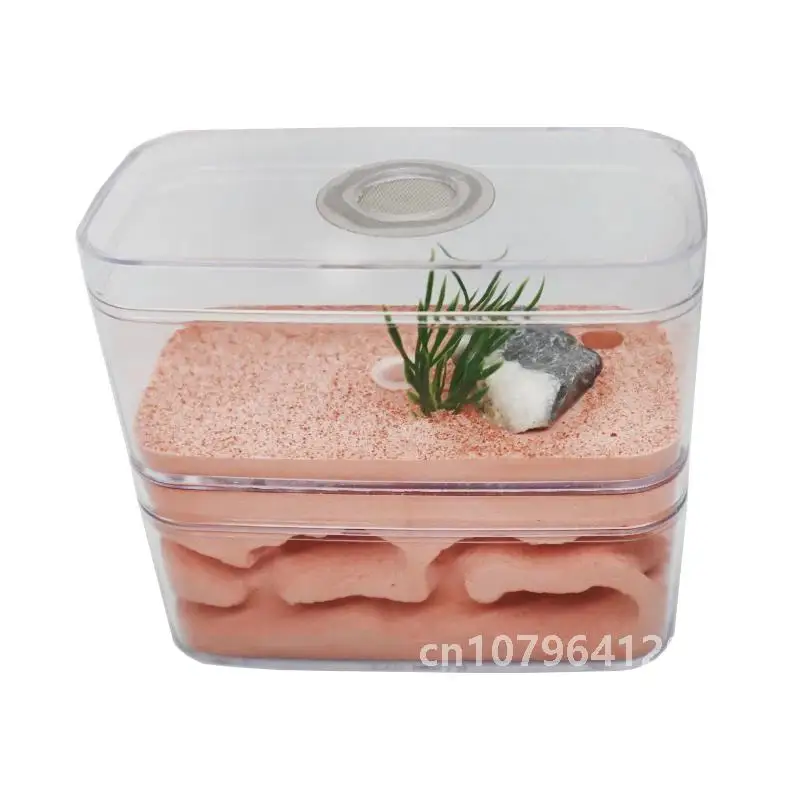 Пластиковое гнездо для муравьев коробка насекомых муравья ферма домашнее