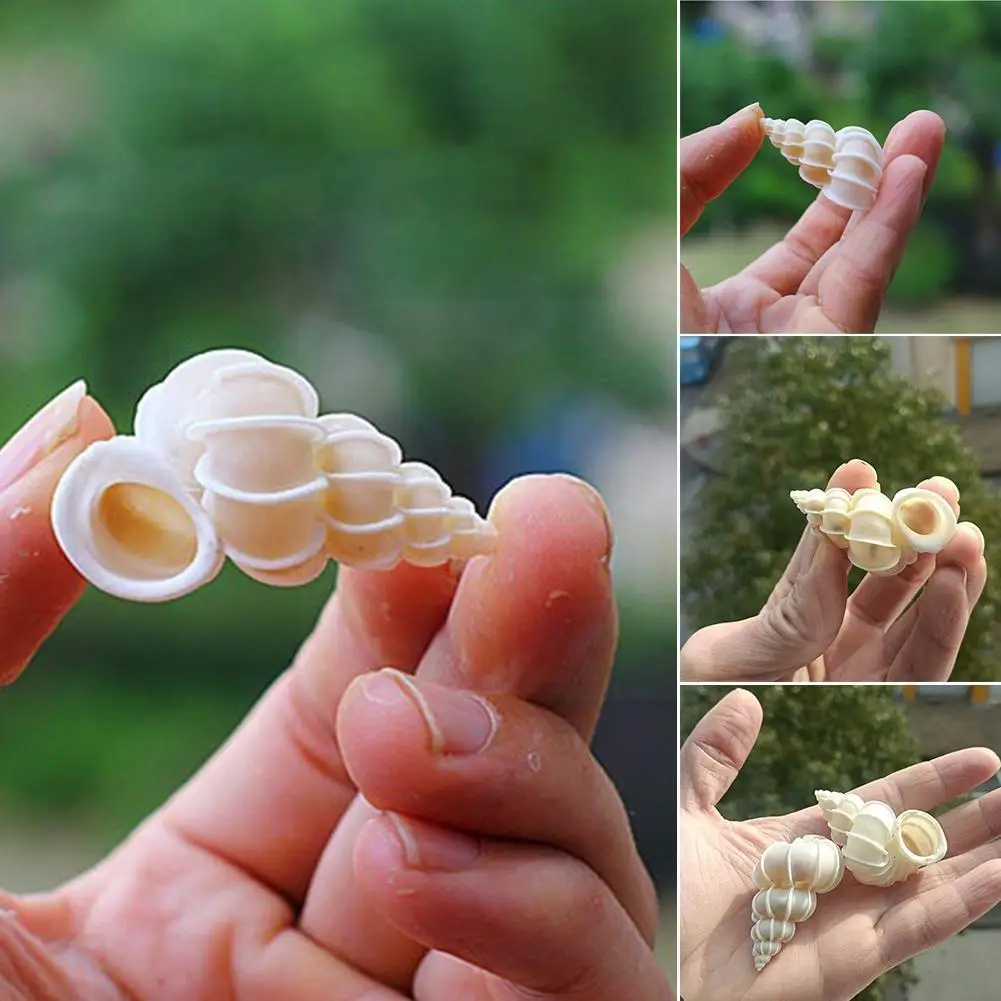 

3-5 см естественный раковины, образцы улитки, коллекция рыбы, Морской ландшафт, домашний декор Z7a5