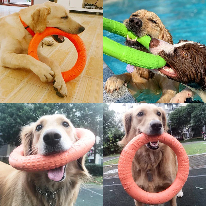 

Dog Toys for Small Dogs EVA Interactive Training Ring Puller Resistant for Dogs Pet Bite Ring Toy Dog Accessories for Small Dogs