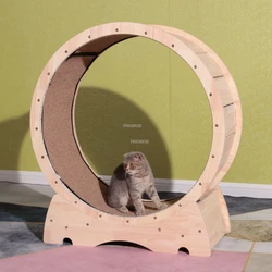 Беговая дорожка для котеек