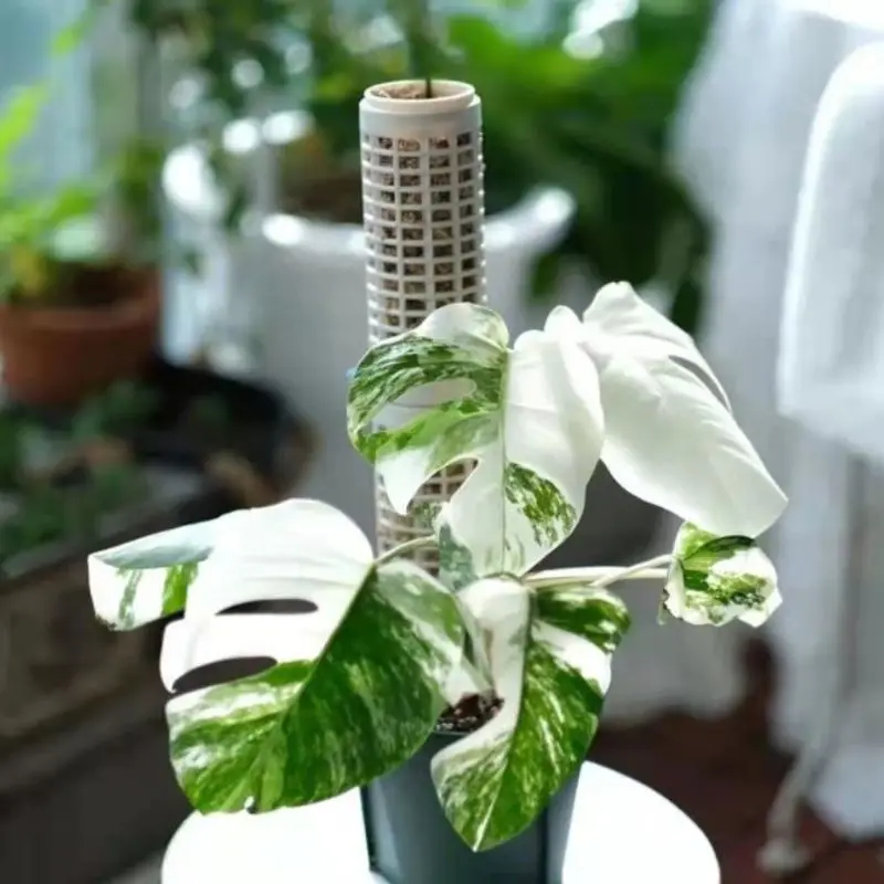 Рамка для подъема растений пластмассовая подставка горшка зеленая кастрюля