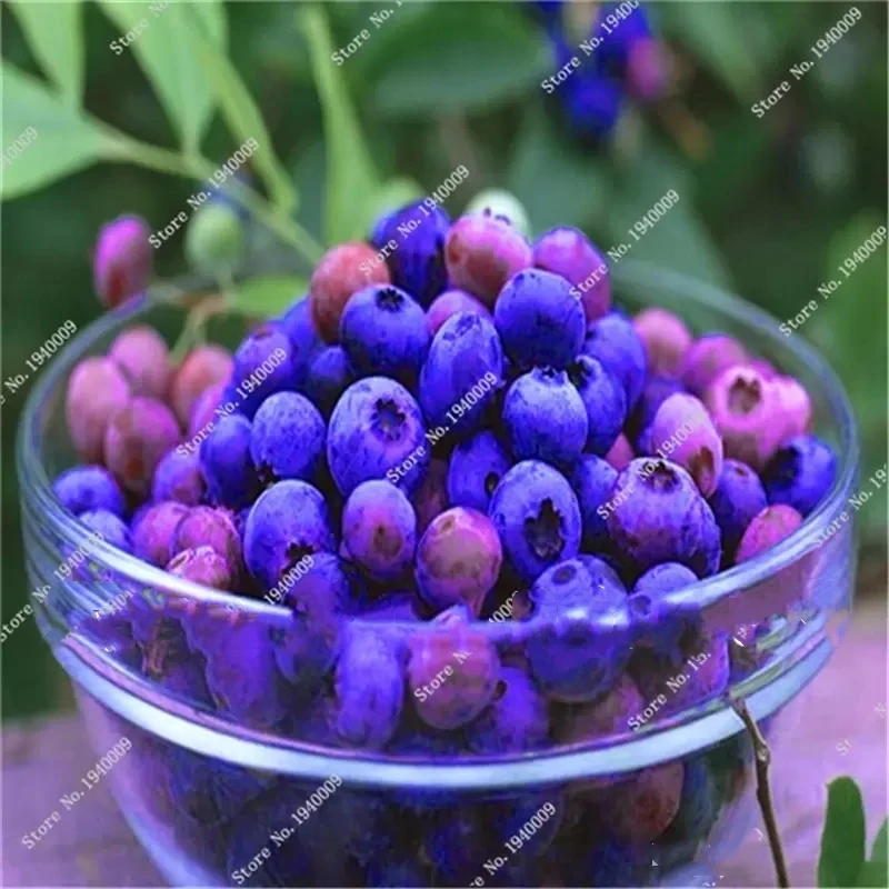 Ароматерапия с черникой ароматные растения фрукты ароматическая свеча 100 шт. -