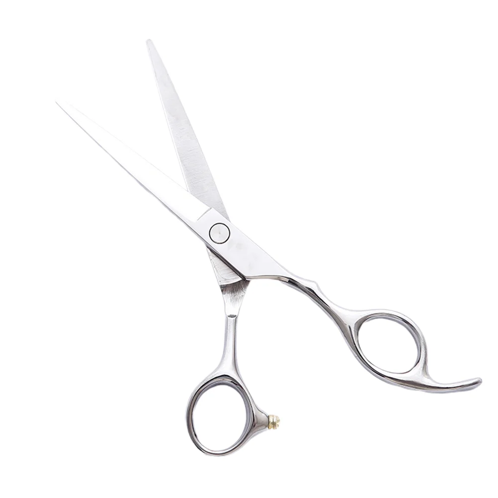 

1Pc Hairdressing Scissors Hair Scissors Thinning Shears Hair Cutting Kit Beard Trimming Scissor Hair Cutting Scissors