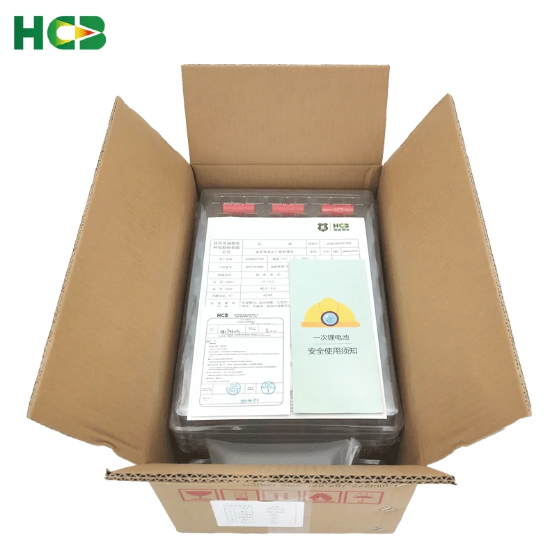 Одноразовый счетчик воды HCB ER17450M с SM разъемом 3 6 В