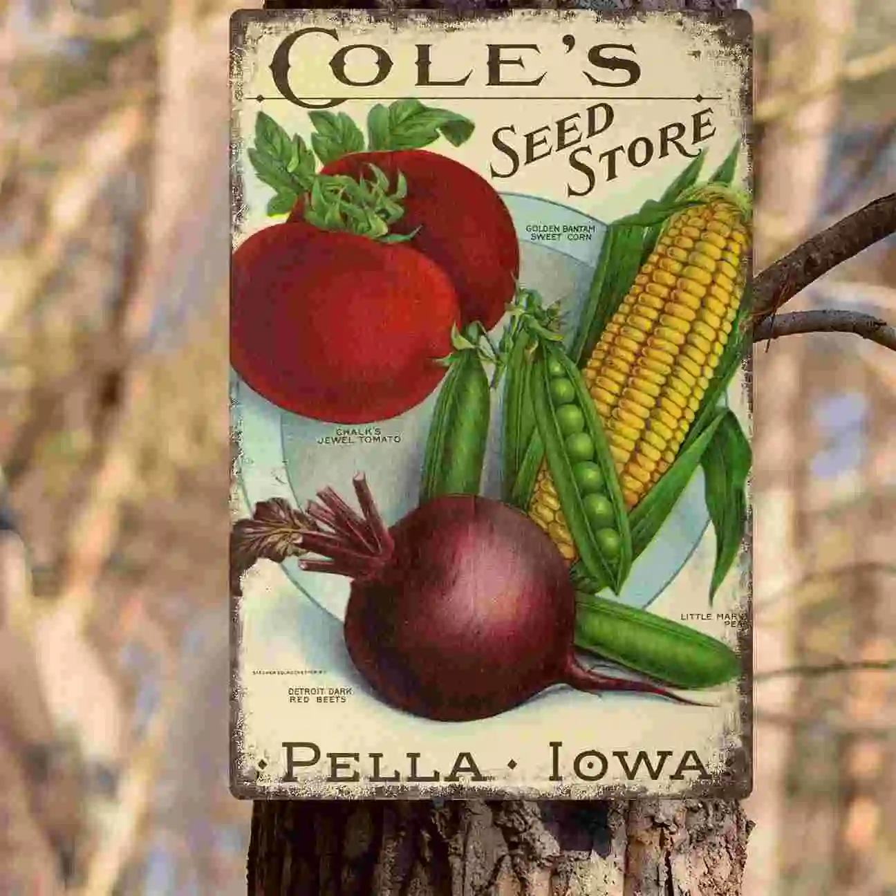 Фото 2D плоский постер (1 шт.) «Cole's Seed Store Pella Iowa» в винтажном стиле с изображением овощей, настенное украшение для дома, кафе, гаража, спальни, веранды №5