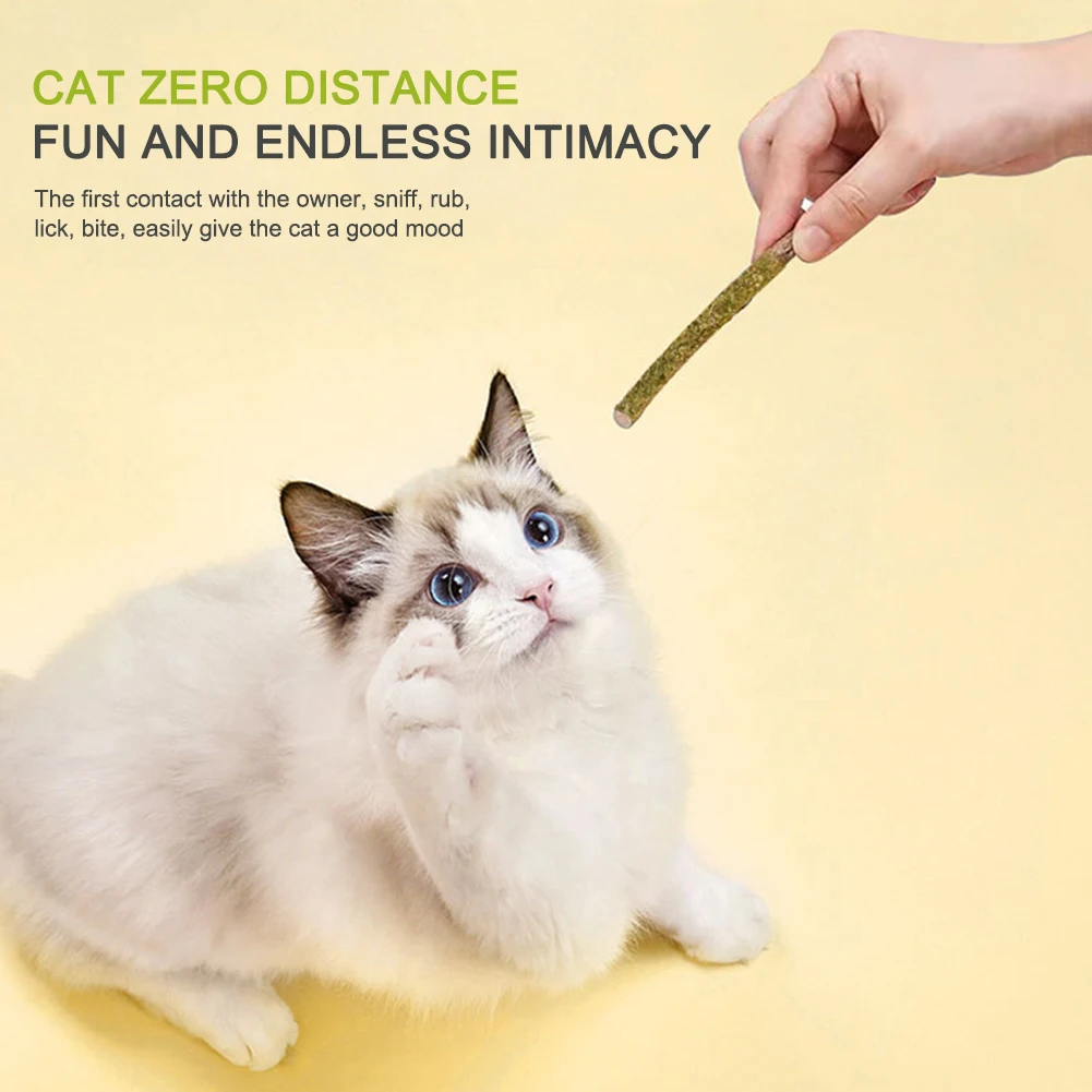 

6PCS Cat Chew Toys 100% Natural Silvervine Catnip Toys Sticks Kittens Teeth Cleaning Safe Cat Stick Treat for Cats of All Ages