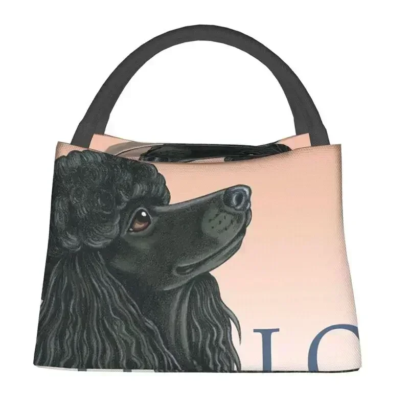 Poodle Black Love Insulated Lunch Tote Bag for Women Pudel Caniche Portable Thermal Cooler Food Box Work Travel