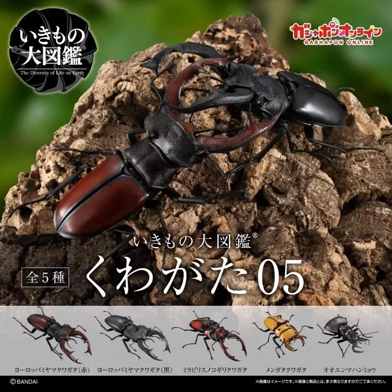 Фото BANDAI Япония Гашапон фигурка аниме милый собранный жук модель 08, искусственные насекомые Kawaii, капсульные игрушки, фигурка в подарок №2