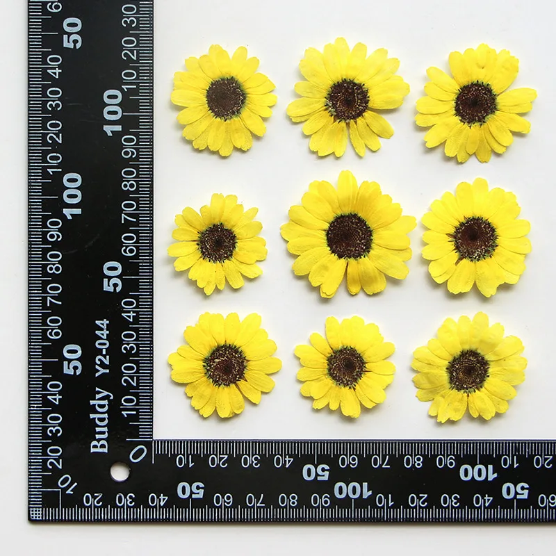 

Сухие цветы NYAConfetti 12шт