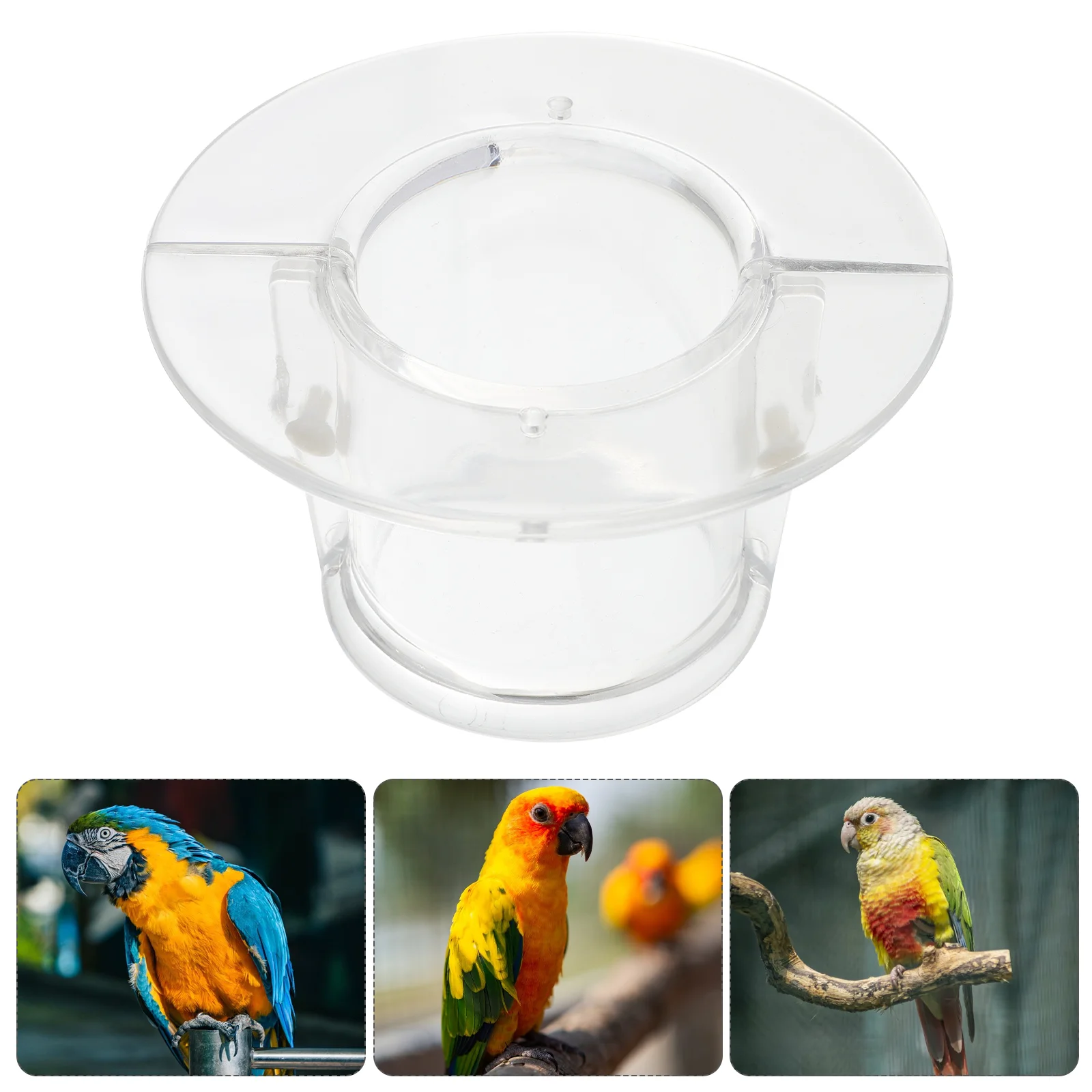 

Collar Parrot Bird Bite Anti Supplies Neckband Necklace Neck Recovery Plucking Cone Collars Pet Birds No Elizabethan Dog Cover