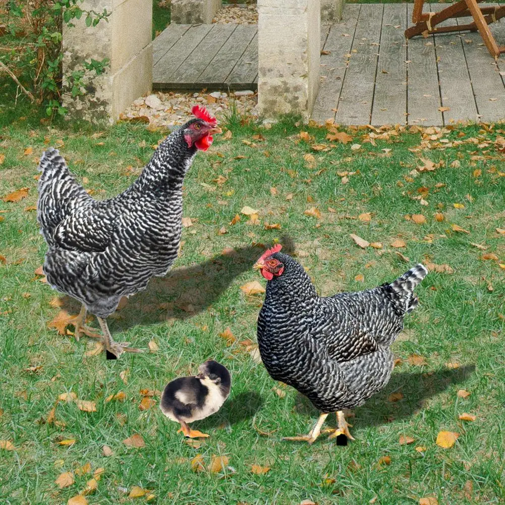 

3 шт. акриловые практичные трехмерные декоративные колышки для цыплят, легкие садовые колышки, изысканные товары для двора