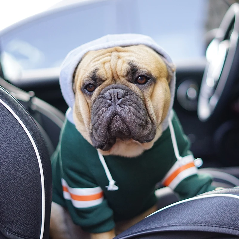 

Одежда для собак, толстовка с капюшоном для французского бульдога, милая Толстовка для французского бульдога, Толстовка для щенка, одежда д...