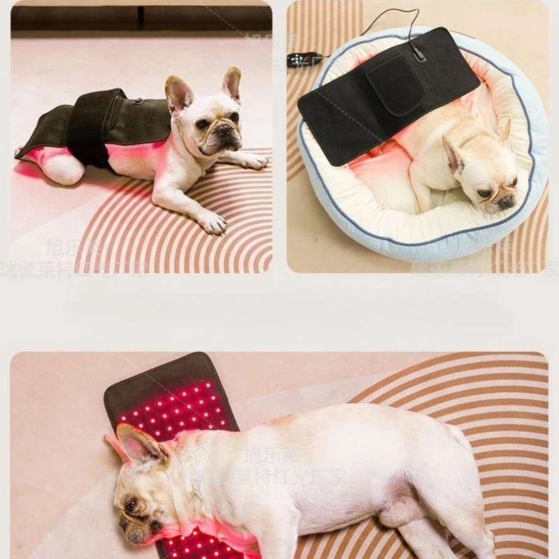 Red Light Therapy Equipment for Dog Pain Relief