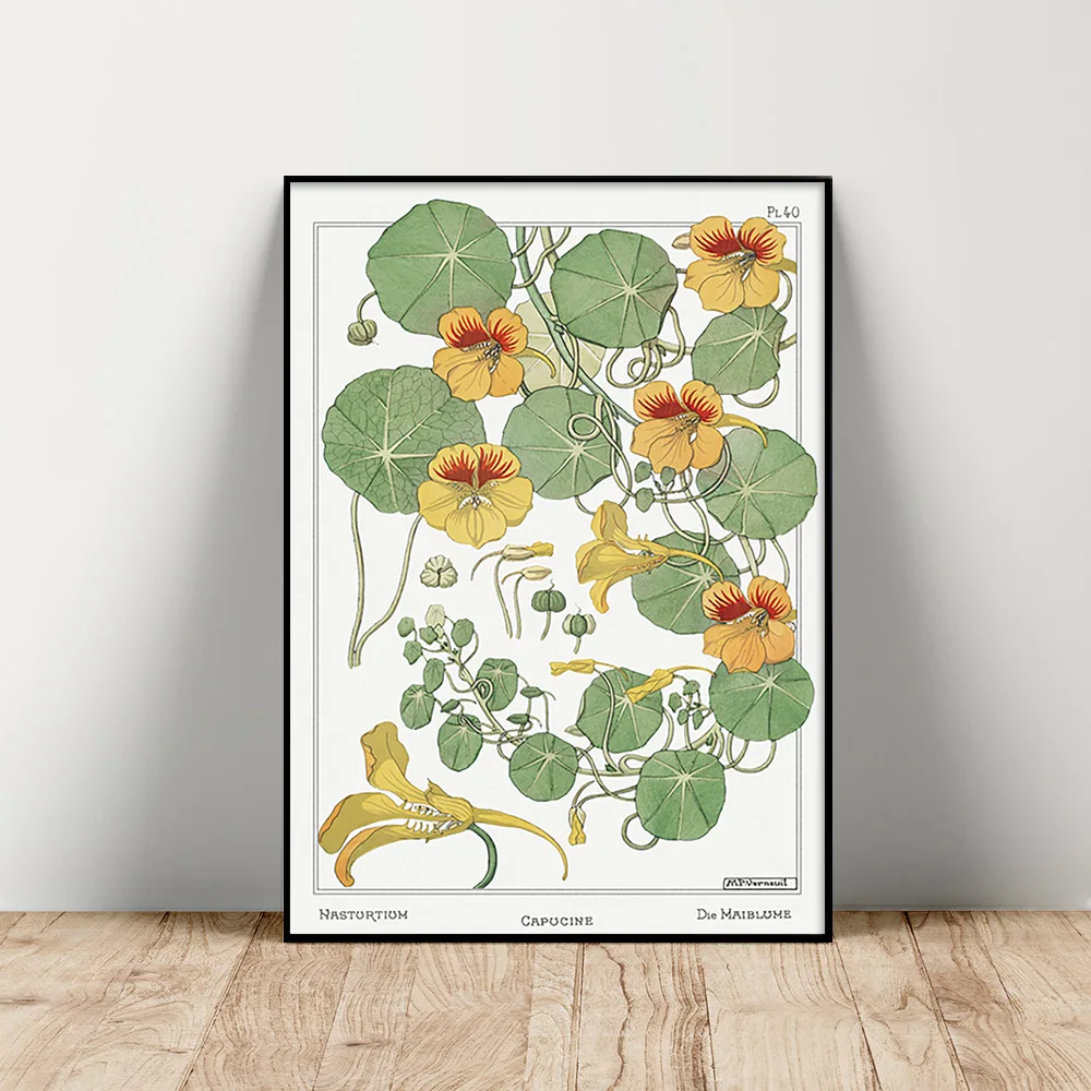 

Maurice Pillard Verneuil Print Poster Art Nouveau Capucine Nasturtium Flower Canvas Painting Antique Floral Wall Picture Decor