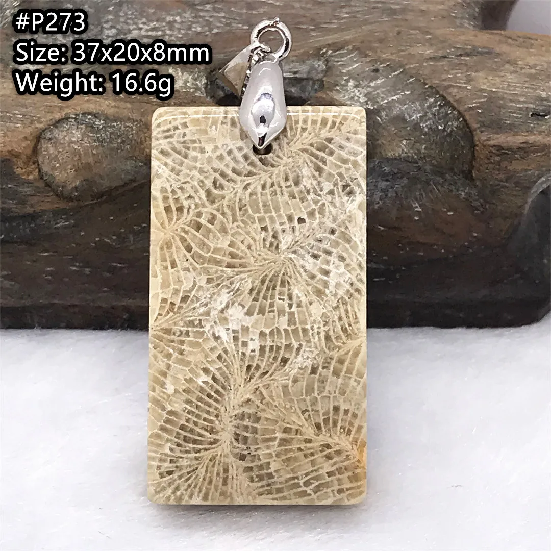 

Натуральная белая хризантема, драгоценный коралл, фотоэлемент для женщин, мужчин, красивый подарок на любовь, Кристальные серебряные бусин...