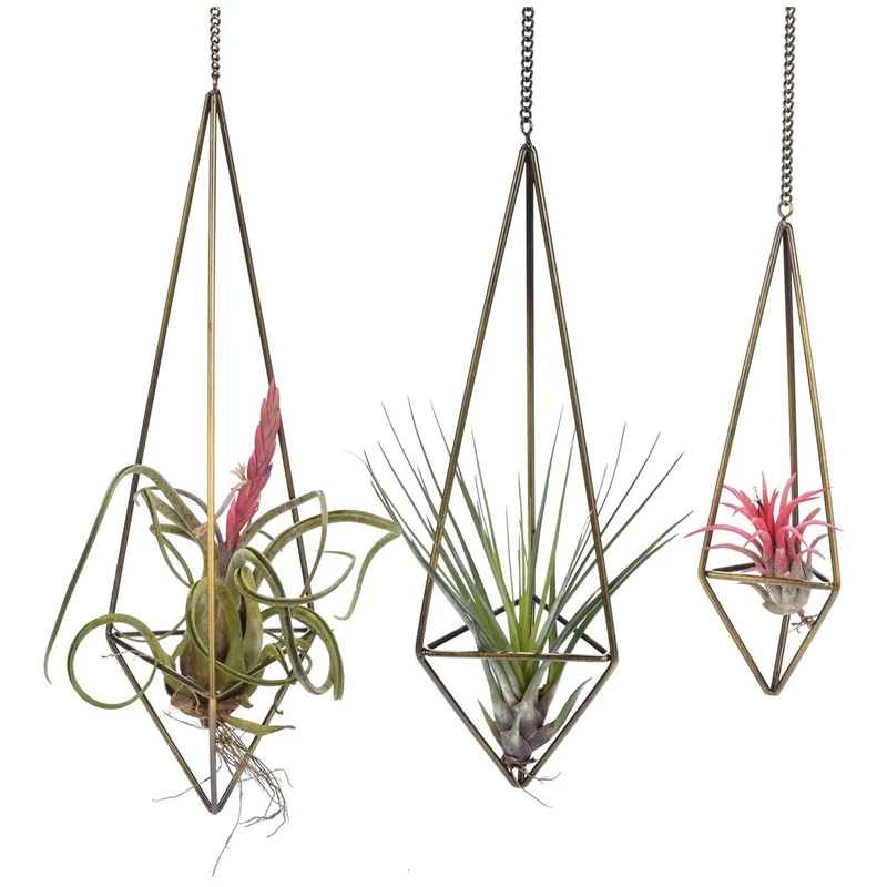 

Sets Of 3 Geometric Air Plant Holder Bronze,Himmeli For Tillandsia,Hanging Planter Basket Air Plant Display With Chains