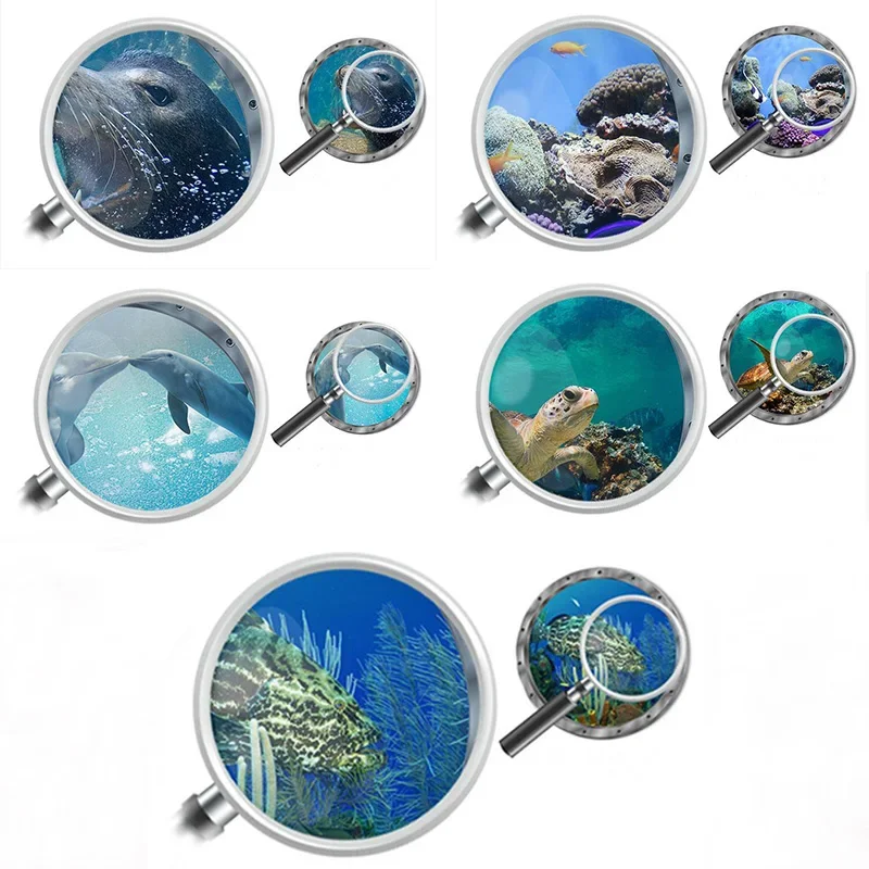 Цветные обои с морским миром морские черепахи уродливые рыбы дельфины рыба львы