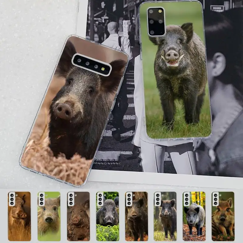 

FHNBLJ wild boar Phone Case for Samsung S21 A10 for Redmi Note 7 9 for Huawei P30Pro Honor 8X 10i cover