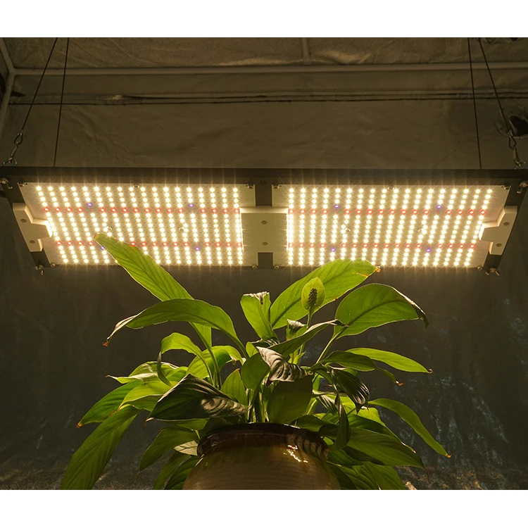 Free TAX to USA RU EU, Pre-assembled UV+IR+epistar 660nm red+LM301H 240W kingbrite 288 boards led grow light