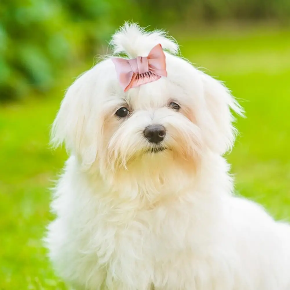

Pet Hairpin Cute Solid Color Bowknot Dog Hair Clips Wedding Party Princess Puppy Headgear for Small Pets