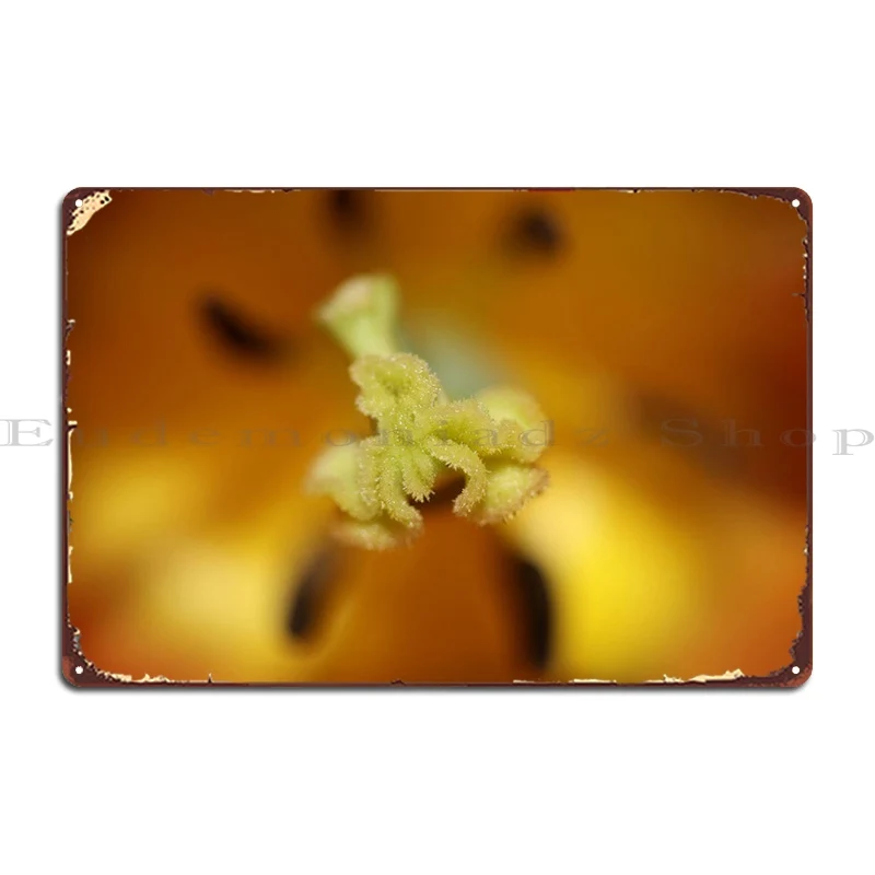 

Цветок тюлипа крупный план металлические знаки Бар Гараж гостиная печать на стене Декор жестяной знак плакат