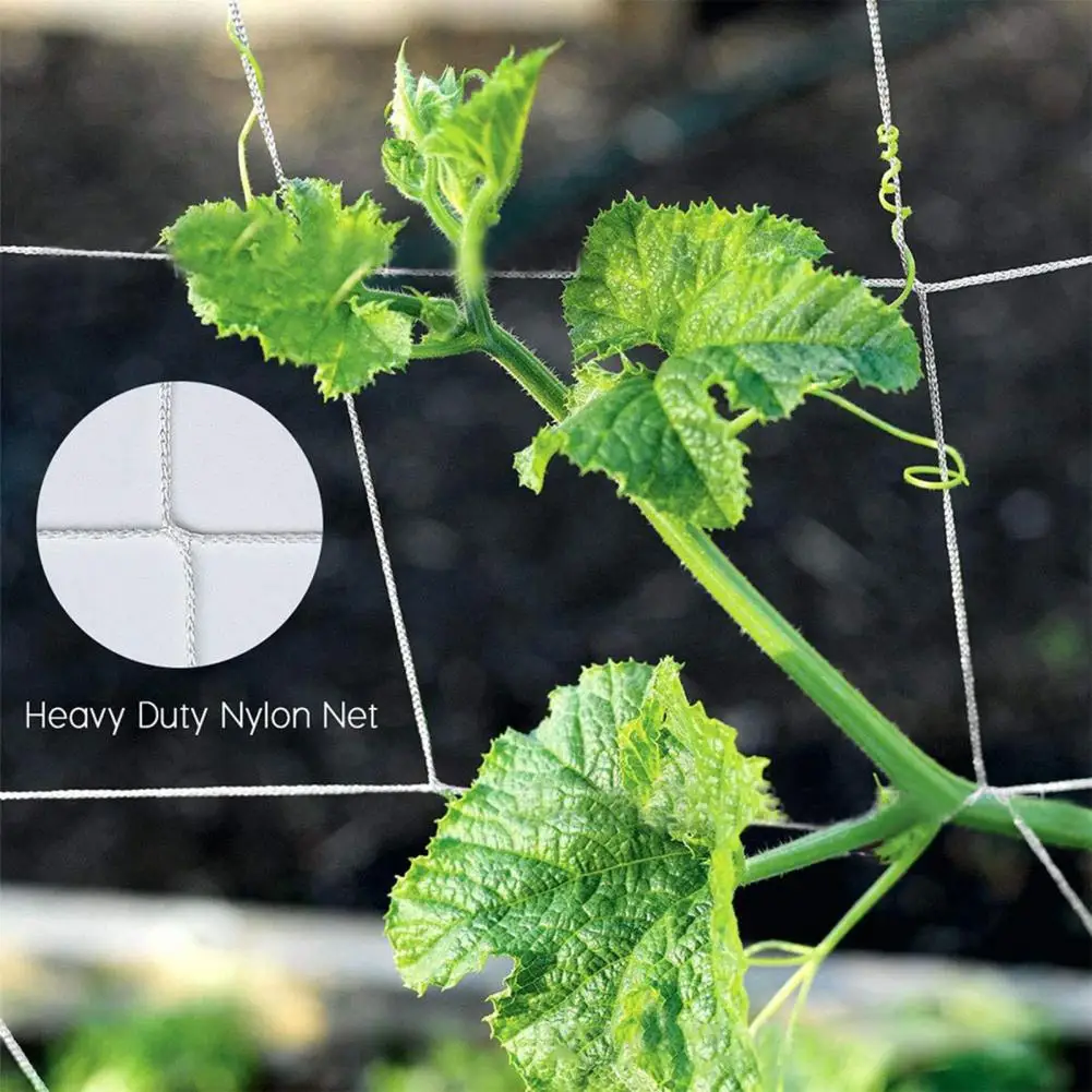 

Сетка для альпинизма, высокоэластичная растягивающаяся Сетка из полиэстера, для садовых растений