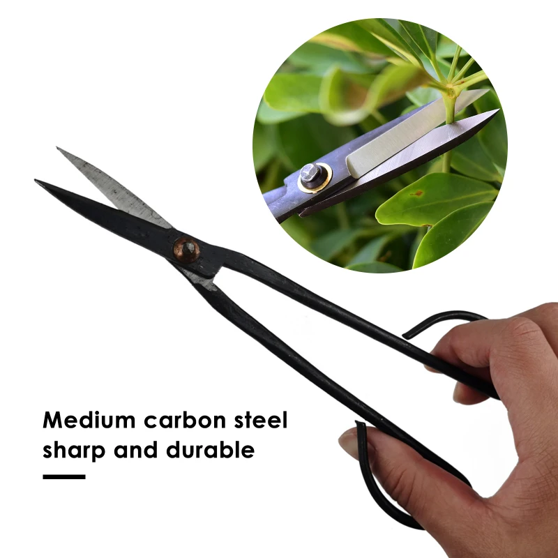 20Cm Giardinaggio Domestico Forbici Con Manico A Ramo Con Manico Lungo Forbici Per Bonsai Strumento Per Forbici Per Rami Bonsai Per Principianti