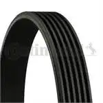 CONTI 6 PK1105 KANALLI ремень для женской PEUGEOT (68373) Кампания (имя.)| |