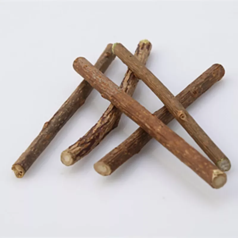 

2023NEW Pet Cat Chew Stick Treat Toy Natural Catnip Molar Herbal Cat Natural Mint Chew Stick Catnip Toy Pets