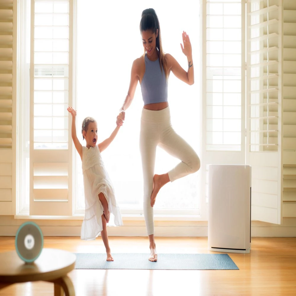 

HEPA Air Purifier,1200 sq ft Room Capacity, White