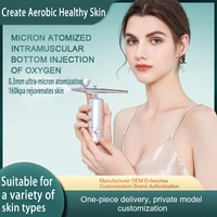 0 3mm facial hydration beauty instrument household handheld oxygen sprayer portable wireless oxygen sprayer face massager
