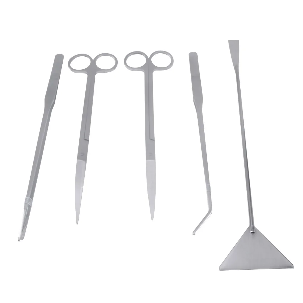 

5 шт., набор трав для живых растений