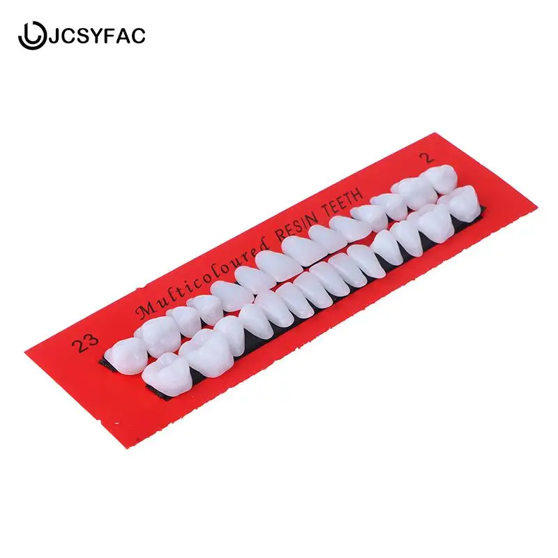 

28Pcs/Set Dental Material Teeth Teaching Model Durable Dentures Universal Resin False Teeth Resin Teeth Model Dedicated Teeth