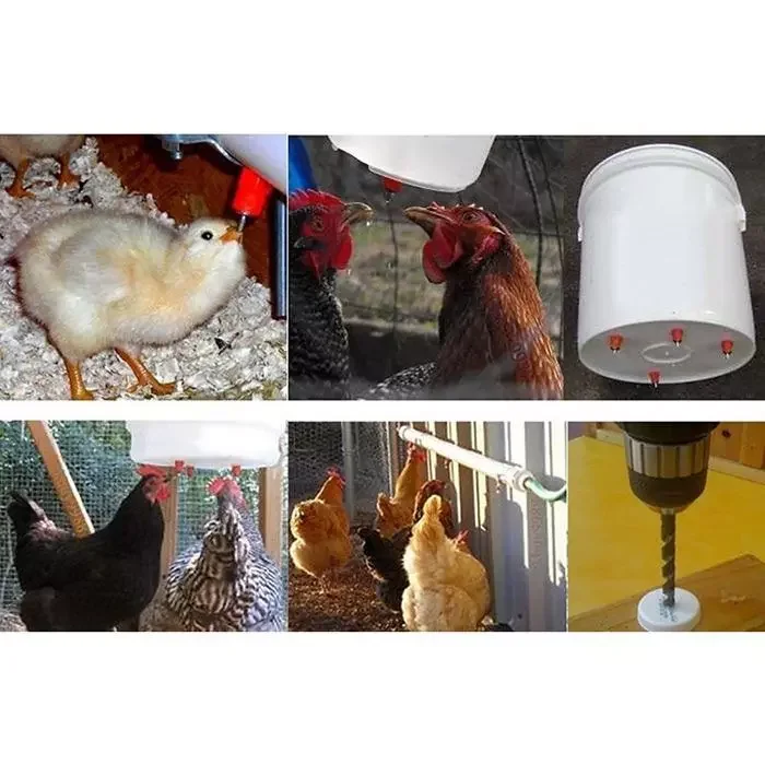 

Chicken Screw In Poultry Water Nipple Drinker Feeder Garden