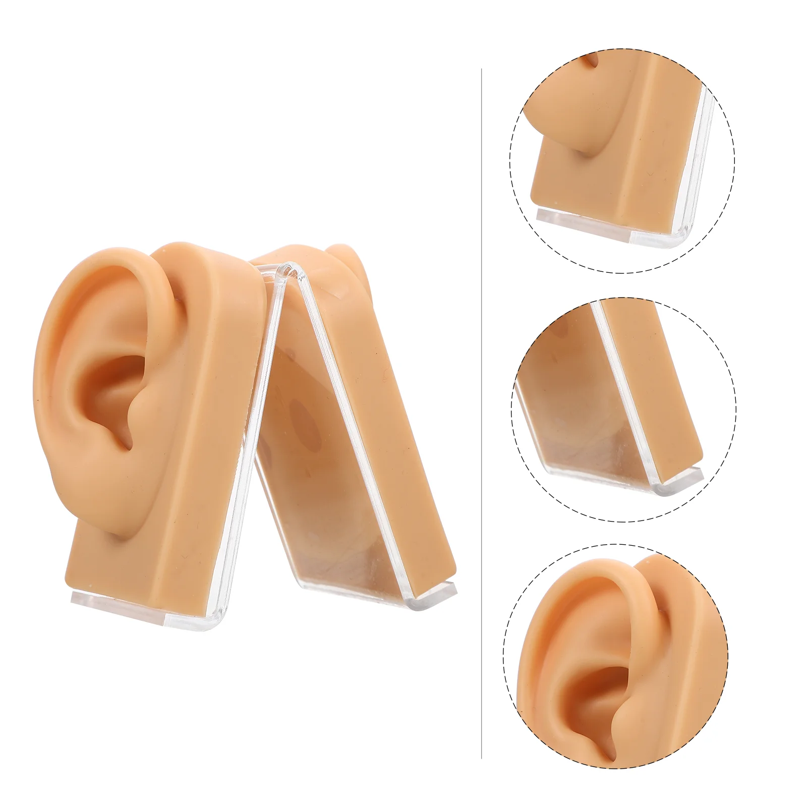 

Ear Display Model Artificialreused Pierce Body Practice Practicing Fake Toolsafety Human Sample Earrings Earring Mould Displays