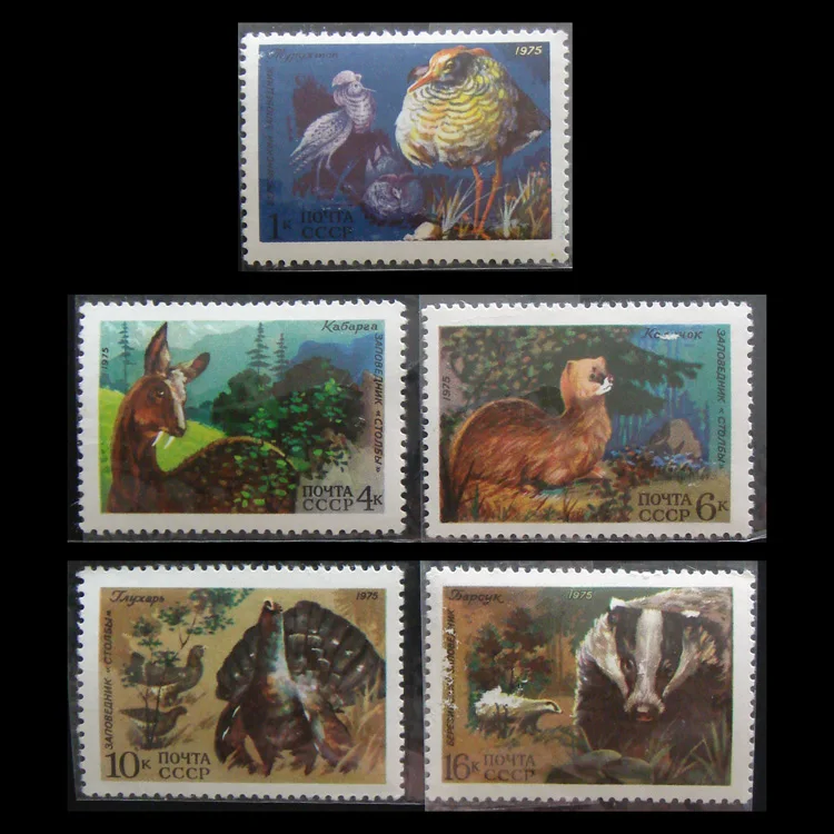 

5Pcs/Set New USSR CCCP Post Stamp 1975 Animal Grouse Musk Deer Postage Stamps MNH