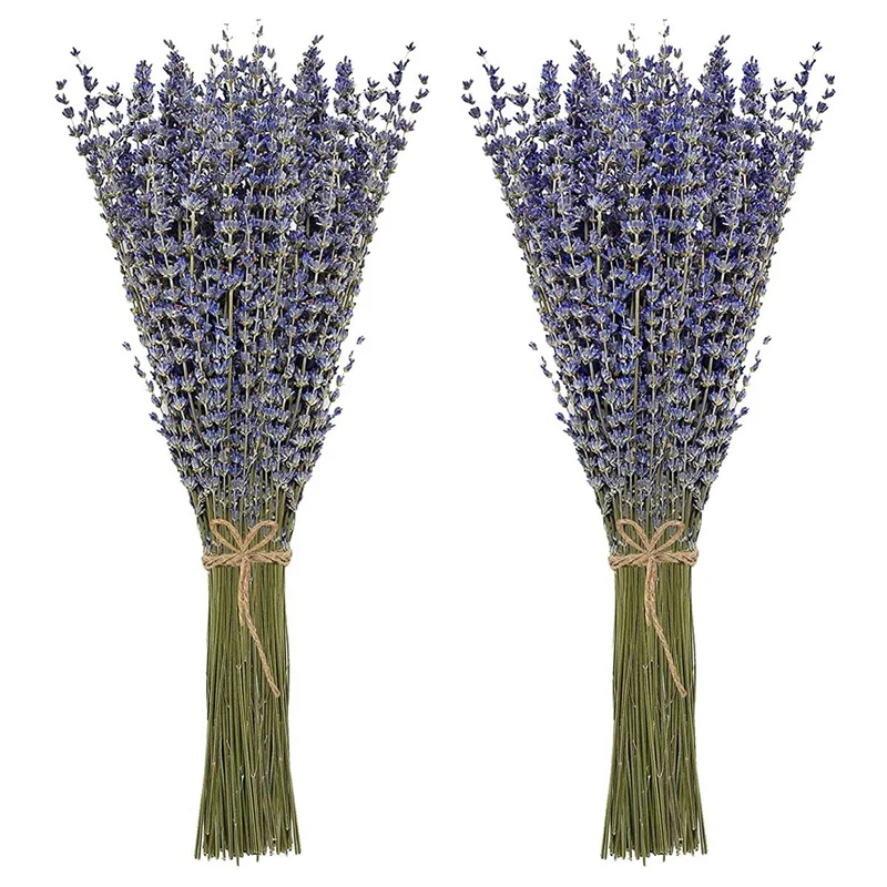 

2 Bundles Dried Lavender Bundles Natural Dried Lavender Flowers For Home Decoration, Photo Props, Home Fragrance