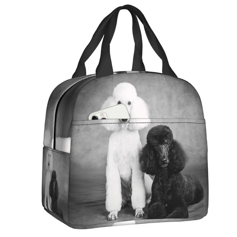 

Poodle Dog Resuable Lunch Boxes for Women Waterproof Pudel Caniche Thermal Cooler Food Insulated Lunch Bag Kids School Children