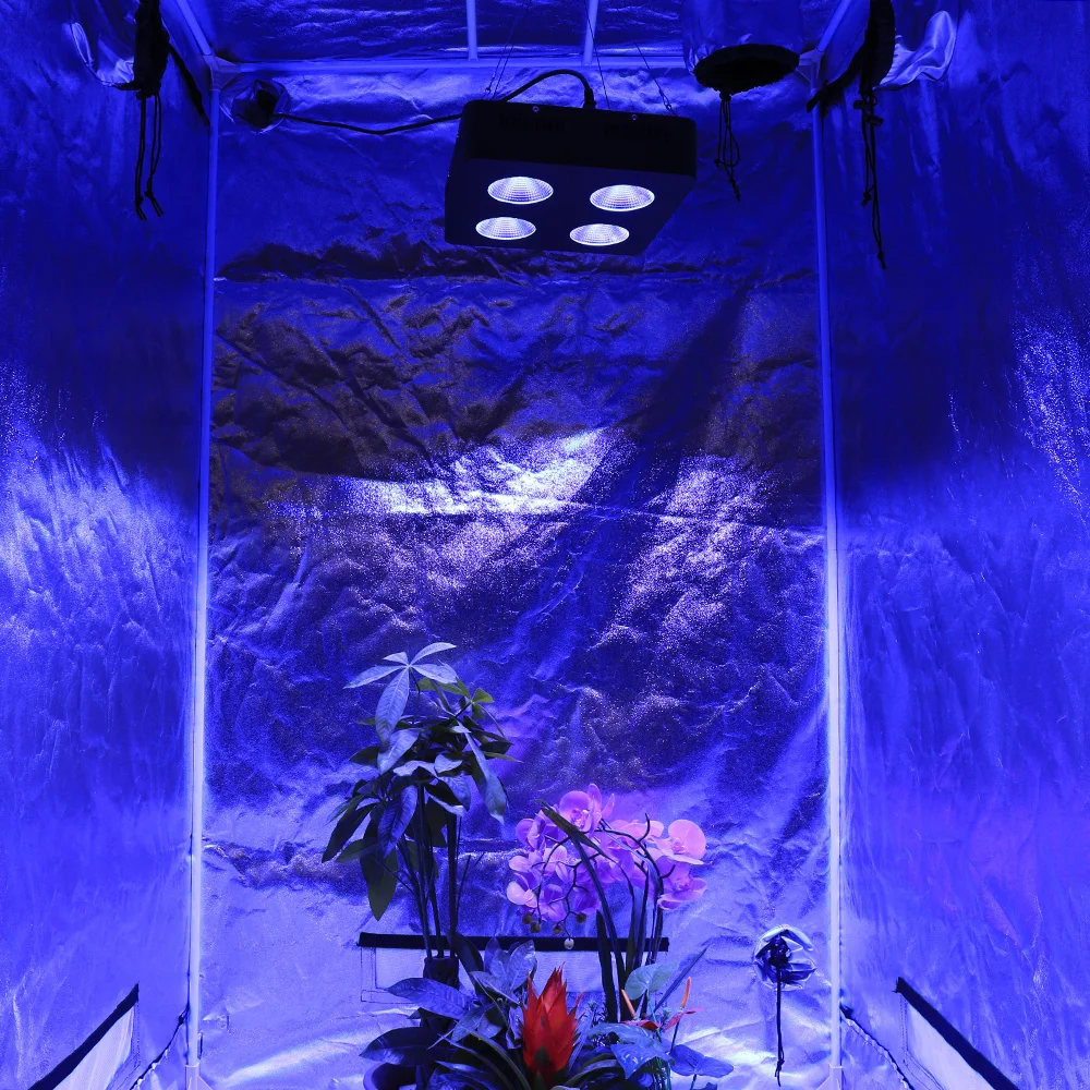 2шт/лот 1000W COB LED Grow Light Full Spectrum Growing Flowering Phytolamp for Plants Indoor Hydroponics Tent Greenhouse on.