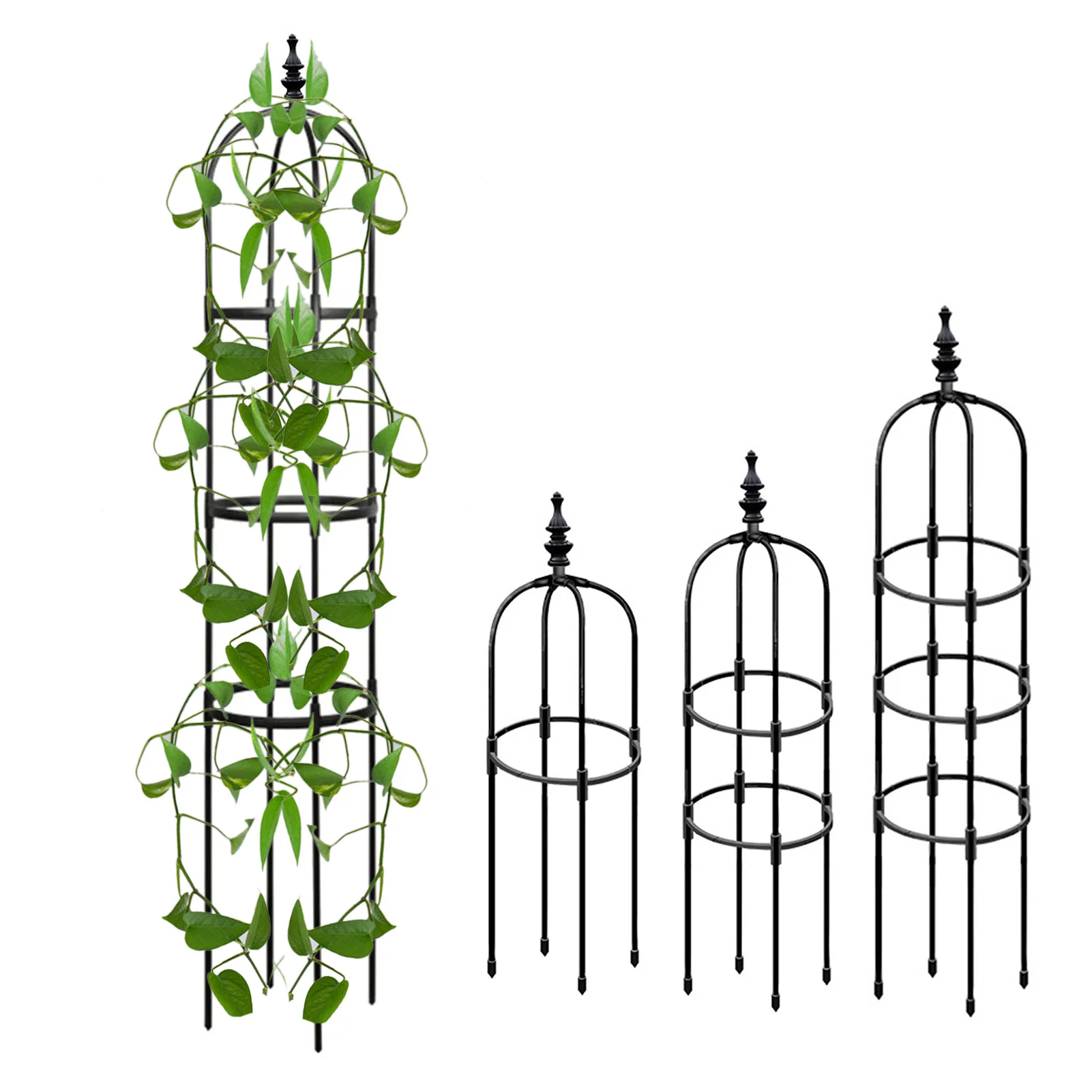 

Trellis For Potted Plants Rustproof Plastics Coated Garden Trellis For Climbing Outdoor Plants Tomato Plant Trellis For Support