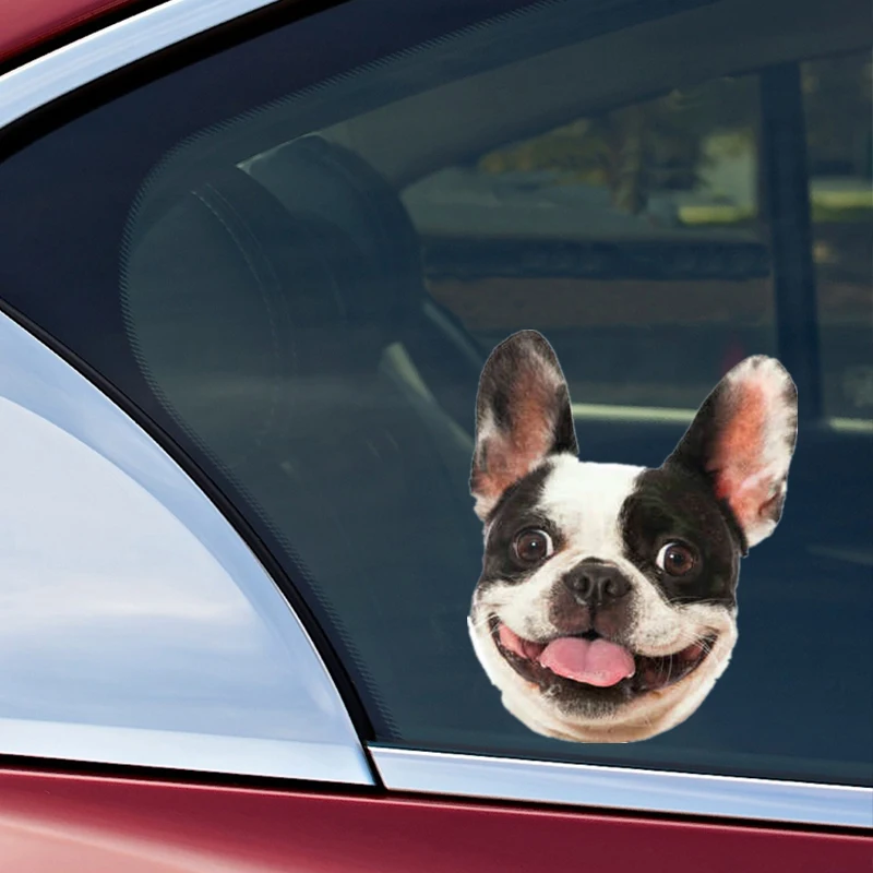 DK210 # 11x14 см французский бык собака автомобильные наклейки забавные креативные