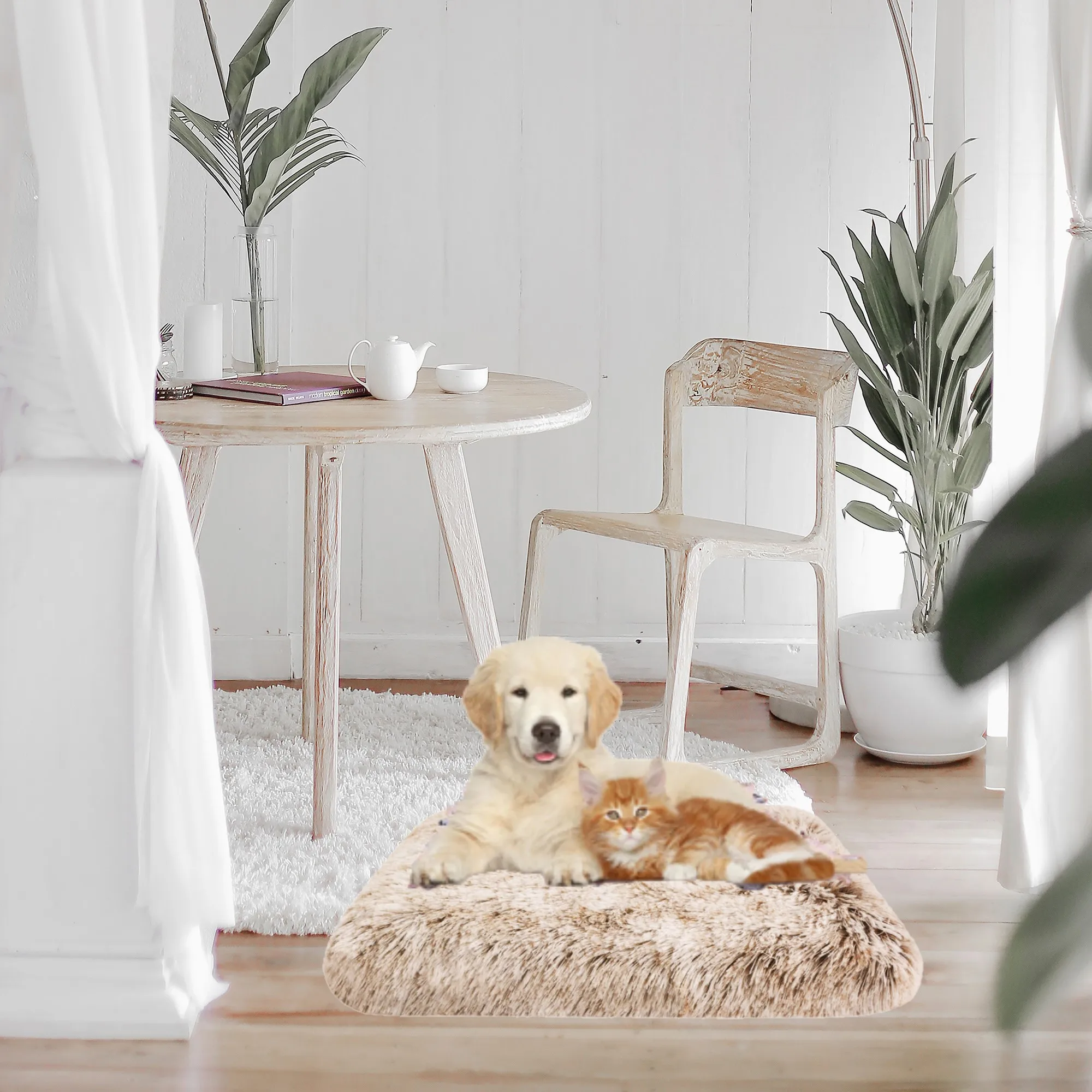 

Plush Cat Beds Dog Bed Mat Removable for Cleaning Puppy Cushion Super Soft Claming Dog Beds Pet Bed for Small Medium Large Dogs